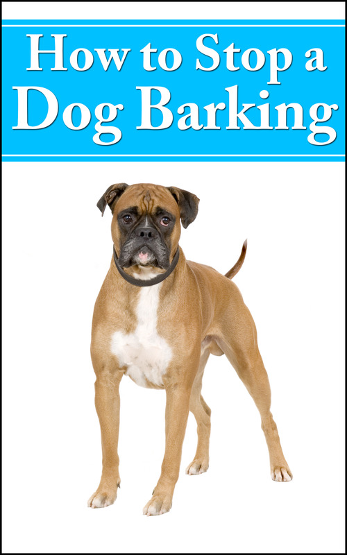 Product picture How To Stop A Dog Barking -PLR