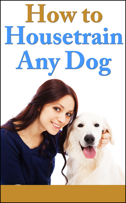 Product picture How To Housetrain Any Dog - PLR