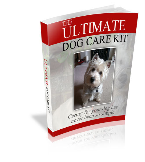 Product picture The Ultimate Dog Care Kit (MRR)