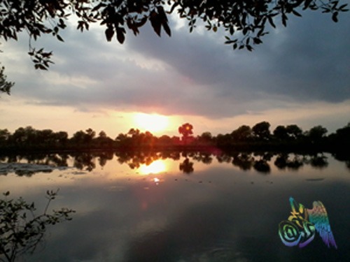 Product picture SunRise Pond