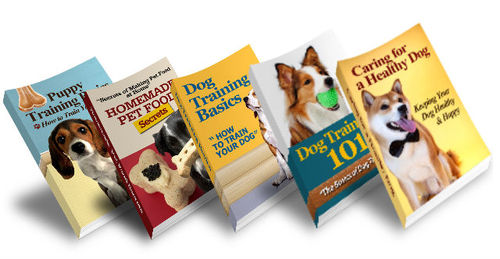 Product picture Dog Training Essentials Package (MRR)