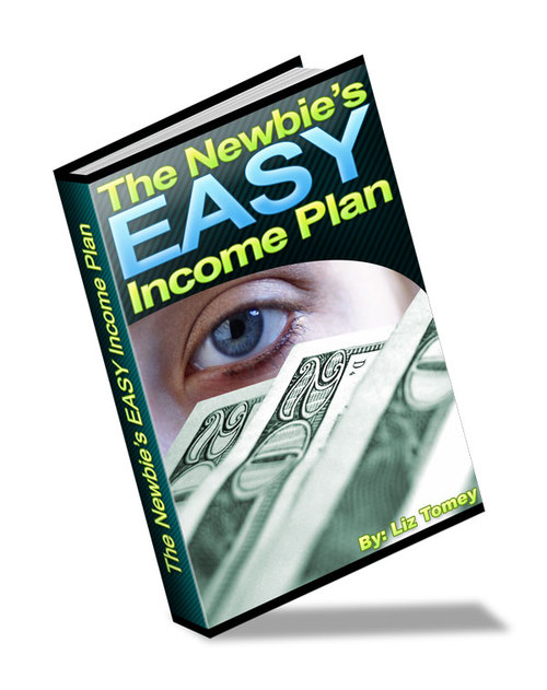 Product picture The Newbies Easy Income Plan