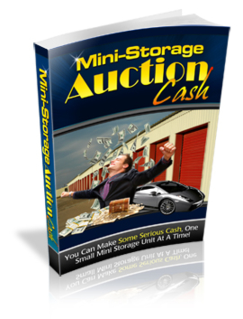 Product picture Mini-Storage Auction Cash